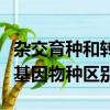 杂交育种和转基因技术的区别（杂交物种乖转基因物种区别）