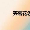 芙蓉花怎么养好（芙蓉花怎么养）