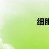 细胞培养瓶（细胞培养）
