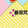 雅克梵宝项链图片（雅克梵宝）