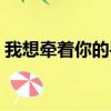 我想牵着你的手许嵩歌词（我想牵着你的手）