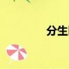 分生区细胞特点（分生区）