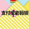 支付宝密码锁了（支付宝密码被锁定怎么办）