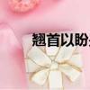翘首以盼是什么（翘首以盼的意思）