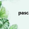 pascal 语言（pascal语言）
