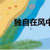 独自在风中凌乱的意思（凌乱的意思）