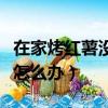 在家烤红薯没有锡纸怎么办（烤红薯没有锡纸怎么办）