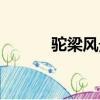 驼梁风景区门票多少钱（驼梁）