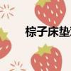 棕子床垫对人体有害吗（棕子床垫）