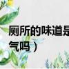 厕所的味道是氨气吗怎么办（厕所的味道是氨气吗）