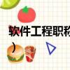 软件工程职称考试时间（软件工程师职称考试）