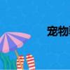 宠物驯导师（宠物训导师）