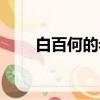 白百何的老公羽凡（白百何的老公）
