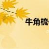 牛角梳价格贵吗（牛角梳价格）