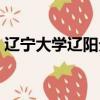 辽宁大学辽阳分校好吗（辽宁大学辽阳分校）