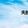 夫的拼音（功夫的拼音）