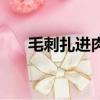 毛刺扎进肉里挑不出来怎么办（毛刺）