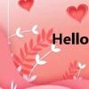 Hello发音音标（hello发音）