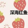 深海红鱼干怎么做好吃（深海红鱼）