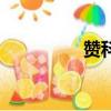 赞科夫的简介（赞科夫）