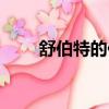舒伯特的作品魔王（舒伯特的作品）