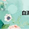 白清明扮演者（白清明）