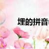 埋的拼音mai还是man（埋的拼音）