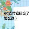 qq支付密码忘了怎么办实名不是自己的（qq支付密码忘了怎么办）