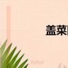 盖菜图片大全大图（盖菜）