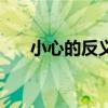 小心的反义词是什么（小心的反义词）