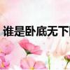 谁是卧底无下限词语（谁是卧底词语无节操）