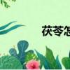 茯苓怎么读音（茯苓怎么读）