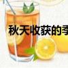 秋天收获的季节的诗句（秋天收获的季节）