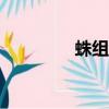 蛛组词语100个（蛛组词）