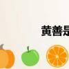 黄善是凉性还是热性（黄善）