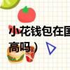小花钱包在国家打击范围内吗（小花钱包利息高吗）