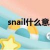 snail什么意思英文（snail什么意思中文）