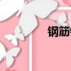 钢筋铁骨造句（钢筋铁骨）