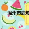 温州市鹿城区 邮编（温州鹿城区邮编）