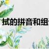 拭的拼音和组词语怎么写（拭的拼音和组词）