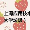 上海应用技术大学学长学姐说（上海应用技术大学垃圾）