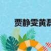 贾静雯黄磊演的电视剧（贾静雯黄磊）