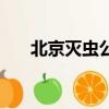北京灭虫公司有几家（北京灭虫公司）