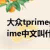 大众tprimegte报价及图片 预售价（大众tprime中文叫什么）