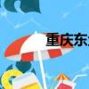 重庆东金南京公司（重庆东金）