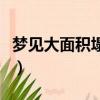 梦见大面积塌方是什么意思（塌方是什么意思）