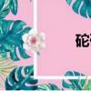 砣矶岛地图（砣矶岛）