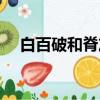 白百破和脊灰为什么要一起打（白百破）
