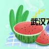武汉715研究所（武汉715）