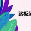 踏板鱼的家常做法（踏板鱼）